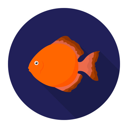 Discus fish icon flat. Singe aquarium fish icon from the sea,ocean life flat.のイラスト素材