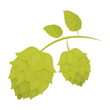 Hops icon in cartoon style isolated on white background. Oktoberfest symbol vector illustration.のイラスト素材