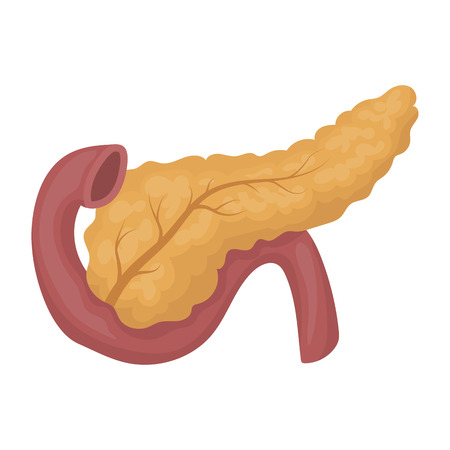 Pancreas icon in cartoon style isolated on white background. Organs symbol vector illustration.のイラスト素材