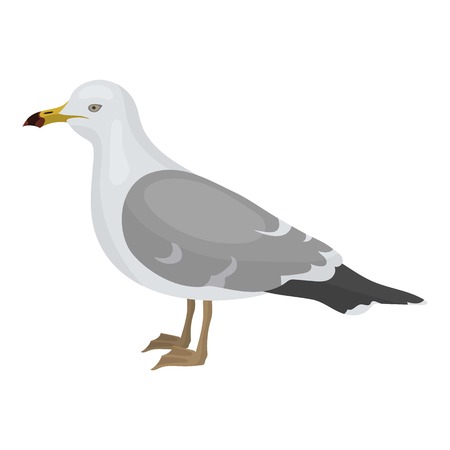 Seagull icon in cartoon style isolated on white background. Bird symbol vector illustration.のイラスト素材