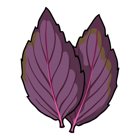 Violet basil icon in cartoon style isolated on white background. Herb an spices symbol vector illustration.のイラスト素材