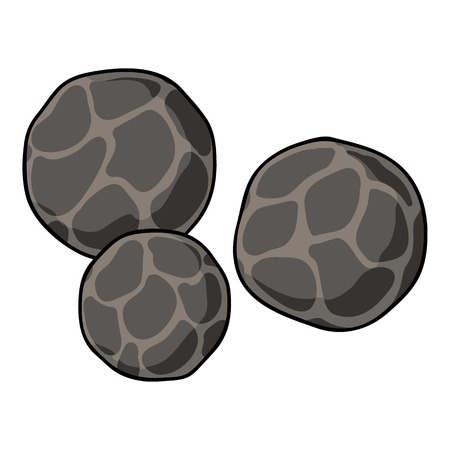 Black pepper icon in cartoon style isolated on white background. Herb an spices symbol vector illustration.のイラスト素材