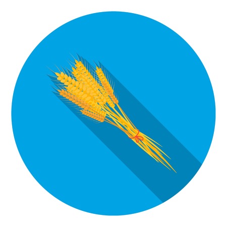 Bundle of wheat icon in flat style isolated on white background. Canadian Thanksgiving Day symbol vector illustration.のイラスト素材