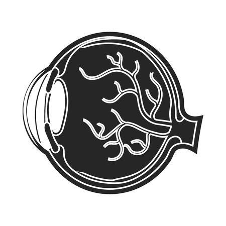 Eyeball icon in black style isolated on white background. Organs symbol vector illustration.のイラスト素材