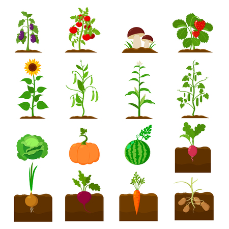 Plant set icons in cartoon style. Big collection plant vector symbol stockのイラスト素材
