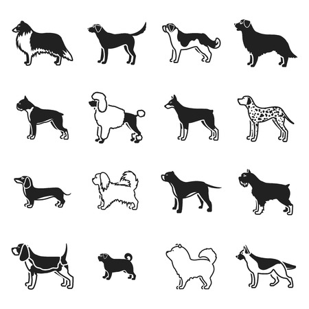Dog breeds set icons in black style. Big collection dog breeds vector symbol stockのイラスト素材