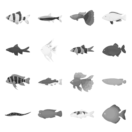Aquarium fish set icons in monochrome style. Big collection of aquarium fish vector symbol stockのイラスト素材