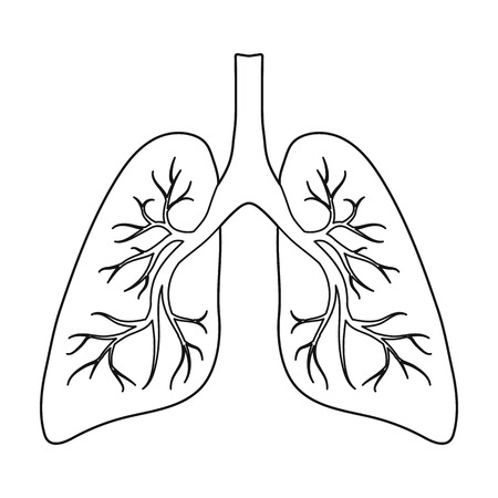 Lungs icon in outline style isolated on white background. Organs symbol vector illustration.のイラスト素材