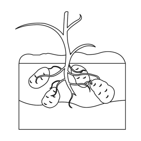 Potato icon in outline style isolated on white background. Plant symbol vector illustration.のイラスト素材