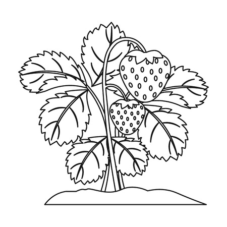 Strawberry icon in outline style isolated on white background. Plant symbol vector illustration.のイラスト素材