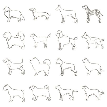 Dog breeds set icons in outline style. Big collection of dog breeds vector symbol stockのイラスト素材