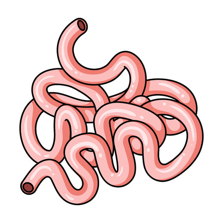 Human small intestine icon in cartoon style isolated on white background. Human organs symbol vector illustration.のイラスト素材