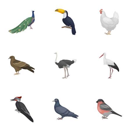 Bird set icons in cartoon style. Big collection of bird vector symbol stockのイラスト素材