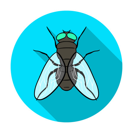 Fly icon in flat design isolated on white background. Insects symbol stock vector illustration.のイラスト素材