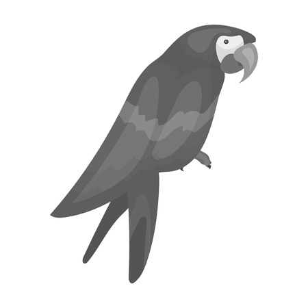 Pirate's parrot icon in monochrome style isolated on white background. Pirates symbol vector illustration.のイラスト素材