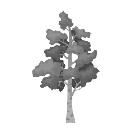 Birch tree icon in monochrome design isolated on white background. Russian country symbol stock vector illustration.のイラスト素材