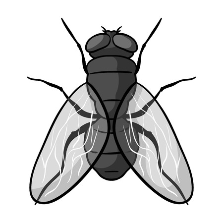Fly icon in monochrome design isolated on white background. Insects symbol stock vector illustration.のイラスト素材