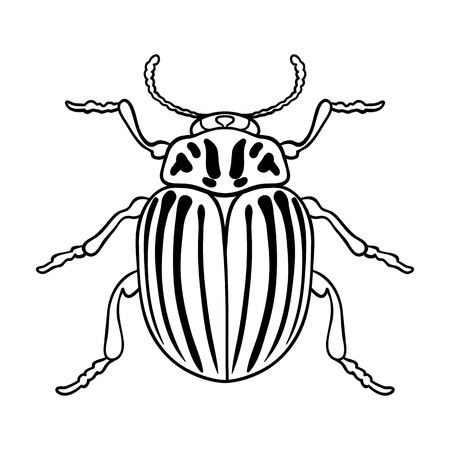 Colorado beetle icon in outline design isolated on white background. Insects symbol stock vector illustration.のイラスト素材