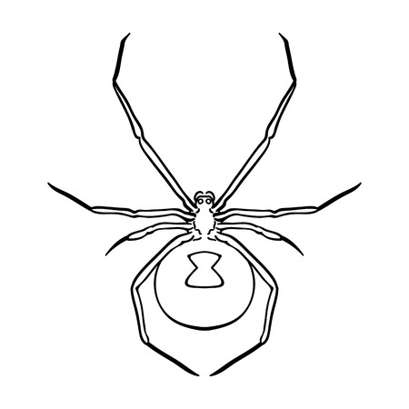 Black widow spider icon in outline design isolated on white background. Insects symbol stock vector illustration.のイラスト素材