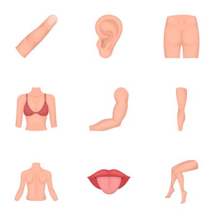 Part of body set icons in cartoon style. Big collection of part of body vector symbol stock illustrationのイラスト素材