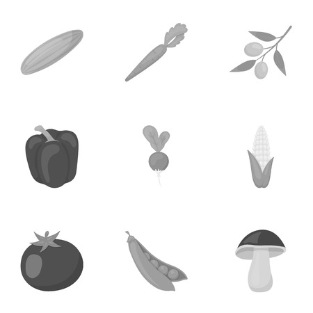 Vegetables set icons in monochrome style. Big collection of vegetables vector symbol stock illustrationのイラスト素材