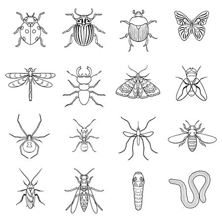 Insects set icons in outline style. Big collection of insects vector symbol stock illustrationのイラスト素材