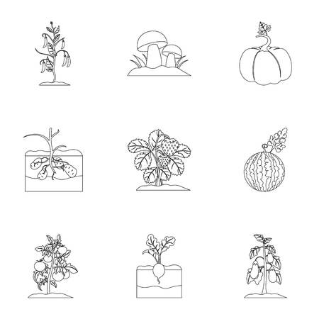 Plant set icons in outline style. Big collection of plant vector symbol stock illustrationのイラスト素材