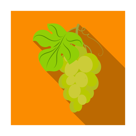 Bunch of yellow grapes icon in flat style isolated on white background. Wine production symbol stock vector illustration.のイラスト素材