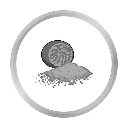 Nutmeg icon in monochrome style isolated on white background. Herb an spices symbol stock vector illustration.のイラスト素材