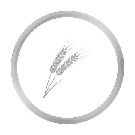 Ears of wheat pasta icon in monochrome style isolated on white background. Types of pasta symbol stock vector illustration.のイラスト素材