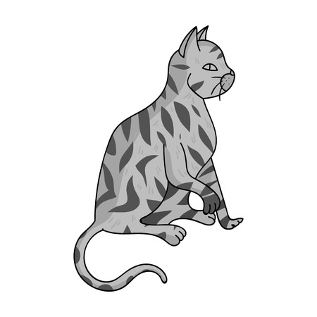 American Shorthair icon in monochrome design isolated on white background. Cat breeds symbol stock illustration.のイラスト素材