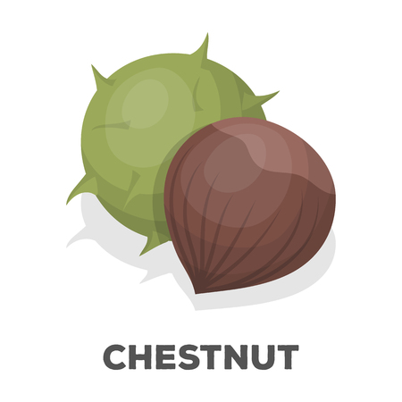 Chestnut.Different kinds of nuts single icon in cartoon style vector symbol stock illustration.のイラスト素材