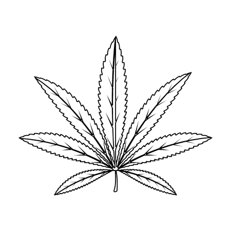 Green leaf of hemp.Hippy single icon in outline style vector symbol stock illustration web.のイラスト素材