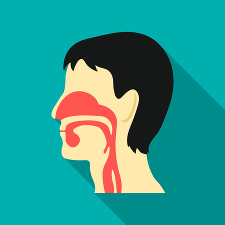 Respiratory system icon flat. Single medicine icon from the big medical, healthcare flat.のイラスト素材