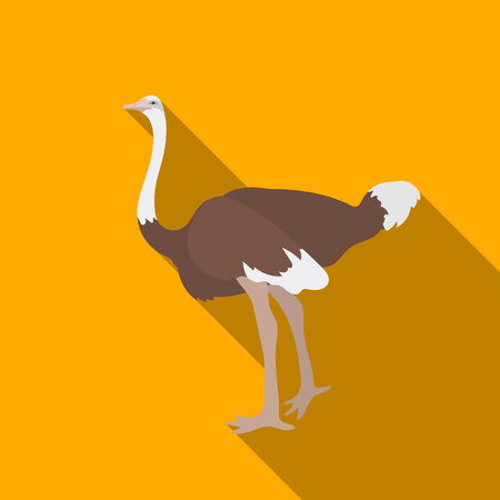 Ostrich icon in flate style isolated on white background. Bird symbol stock vector illustration.のイラスト素材
