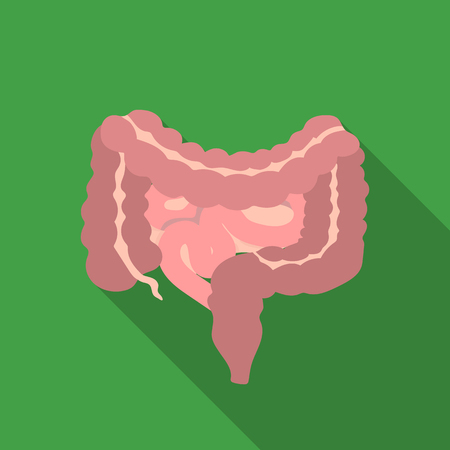 Gastrointestinal tract icon in flat style isolated on white background. Organs symbol stock vector illustration.のイラスト素材