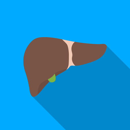 Liver icon in flat style isolated on white background. Organs symbol stock vector illustration.のイラスト素材