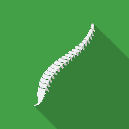 Spine icon in flat style isolated on white background. Organs symbol stock vector illustration.のイラスト素材