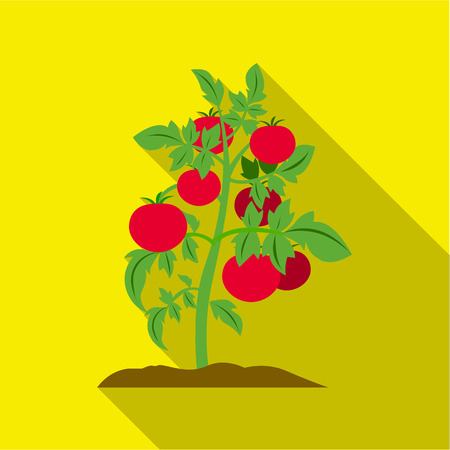 Tomato icon flat. Single plant icon from the big farm, garden, agriculture flat.のイラスト素材