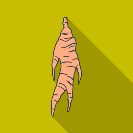 Ginseng icon in flate style isolated on white background. South Korea symbol stock vector illustration.のイラスト素材