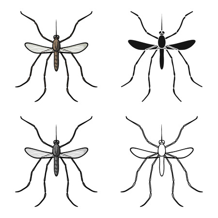 Mosquito icon in cartoon style isolated on white background. Insects symbol stock vector illustration.のイラスト素材