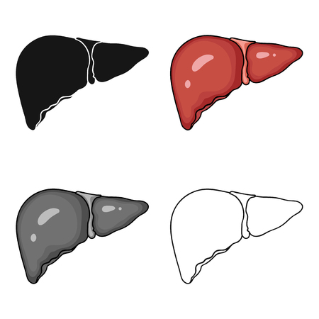 Human liver icon in cartoon style isolated. Human organs symbol vector illustration.のイラスト素材