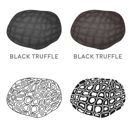 Black truffles icon in cartoon style isolated on white background. Mushroom symbol stock vector illustration.のイラスト素材