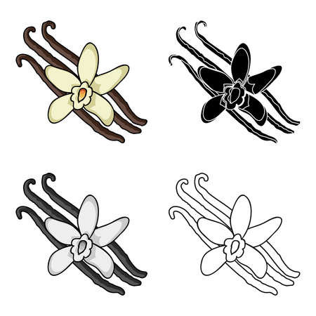 Vanilla icon in cartoon style isolated on white background. Herb an spices symbol stock vector illustration.のイラスト素材