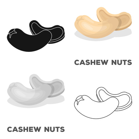 Cashew nuts.Different kinds of nuts single icon in cartoon style vector symbol stock illustration.のイラスト素材