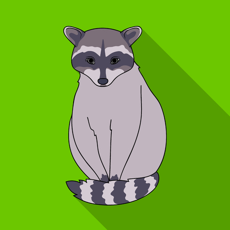 Raccoon.Animals single icon in flat style vector symbol stock illustration web.のイラスト素材