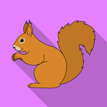 Squirrel.Animals single icon in flat style vector symbol stock illustration web.のイラスト素材