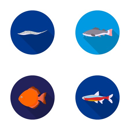 Angelfish, common, barbus, neon.Fish set collection icons in flat style vector symbol stock illustration web.のイラスト素材