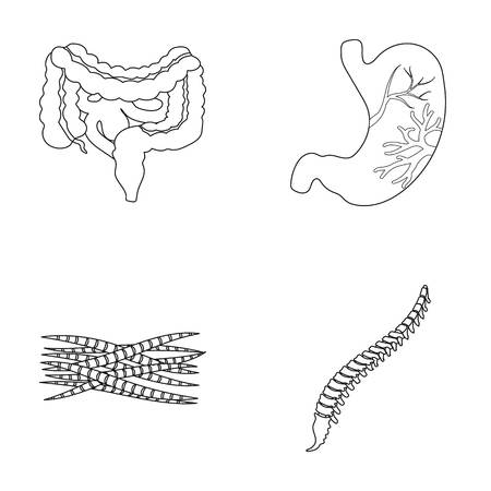 Intestines, stomach, muscles, spine. Organs set collection icons in outline style vector symbol stock illustration web.のイラスト素材