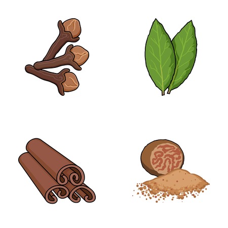 Clove, bay leaf, nutmeg, cinnamon.Herbs and spices set collection icons in cartoon style vector symbol stock illustration web.のイラスト素材